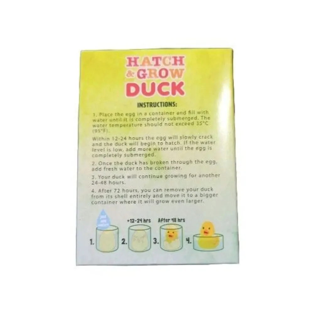 Rhode Island Novelty - HATCH & GROW DUCK (Random Style) - New